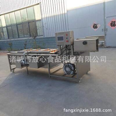 全CMG自翻动气泡清洗机浪式清机山楂蓝莓果不锈钢水洗果白蔬菜清