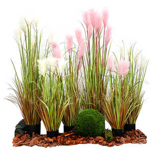 仿真绿植室内盆栽芦苇草假植物造景干花客厅摆件落地直播间装 饰树