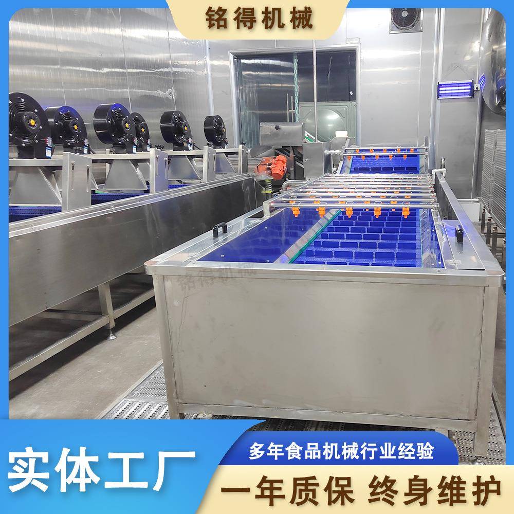 全自动笋片气泡清洗机连续式笋尖清洗机鼓泡式春笋清洗设备