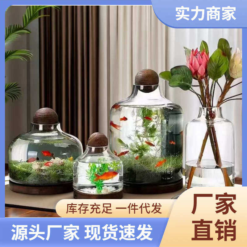 微景观生态瓶玻璃鱼缸创意DIY造景鱼虾水草缸日式木托桌面办公室