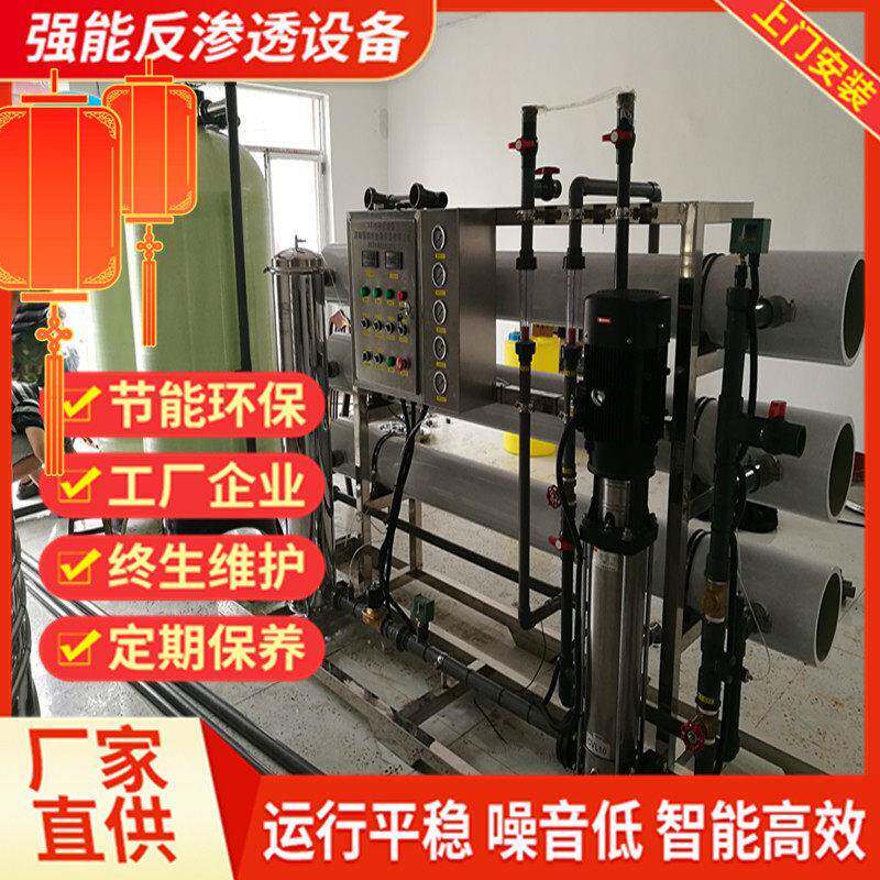 强能现货供应12吨反渗透设备 纯净水设备