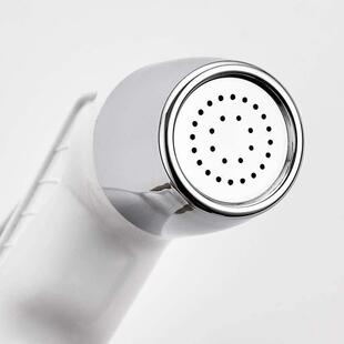 companion wash cleaner spray Body gun flusher Toilet butt