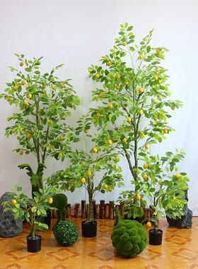 柠檬树仿真绿色植物木北欧风植物盆栽仿生假树室内造景轻奢风落地