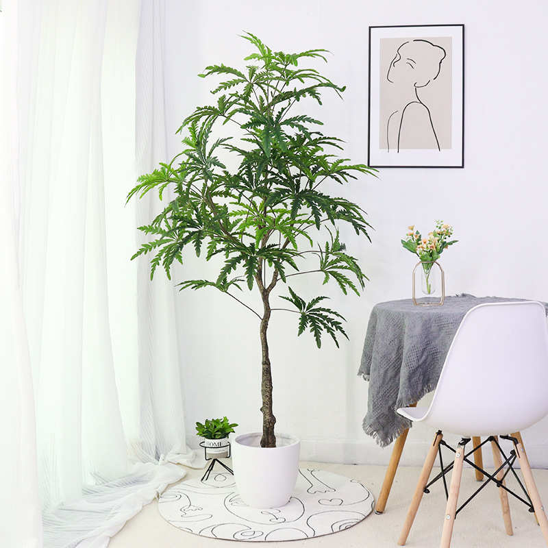 仿真绿植孔雀木新款北欧假植物盆栽树服装店铺装饰盆景仿真孔雀木