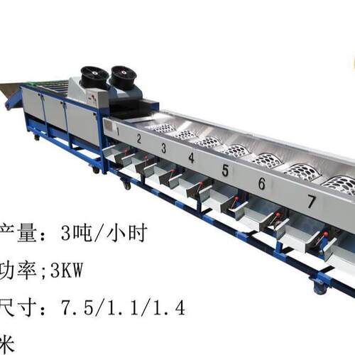 脐选橙 清洗分选机 柑GJY桔洗果分级设备机小青柑果 石榴分拣机