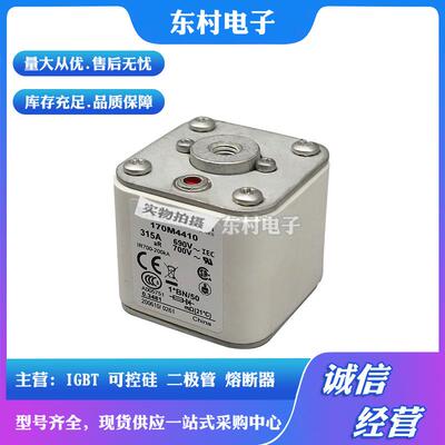 熔断器170M4414170M4415170M4416170M4417/4418/4419全新现货