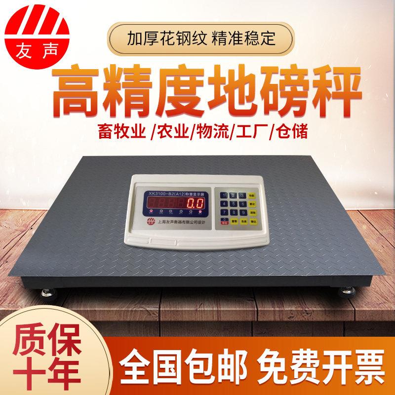 上海友声电子地磅秤3吨小地磅1吨称猪称牛地磅工业物流电子秤5吨
