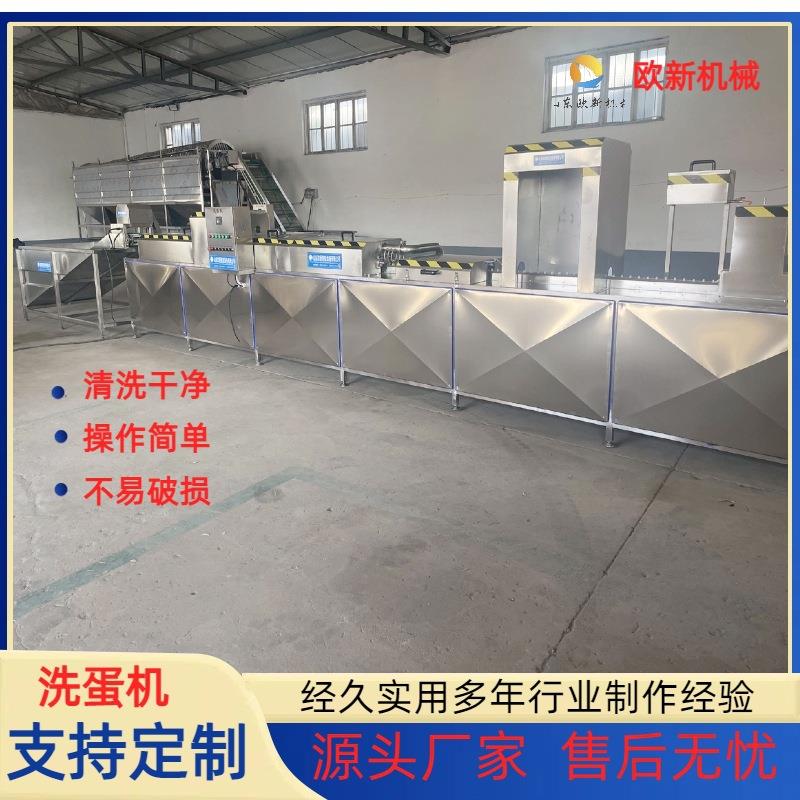 洗蛋机价格鸡蛋鸭蛋清洗线清洗机器全自动单双排洗蛋机清洗风干机