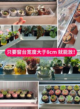 美莳窄阳台多肉花盆托盘窗台花架塑料超长条长型长方形接金小