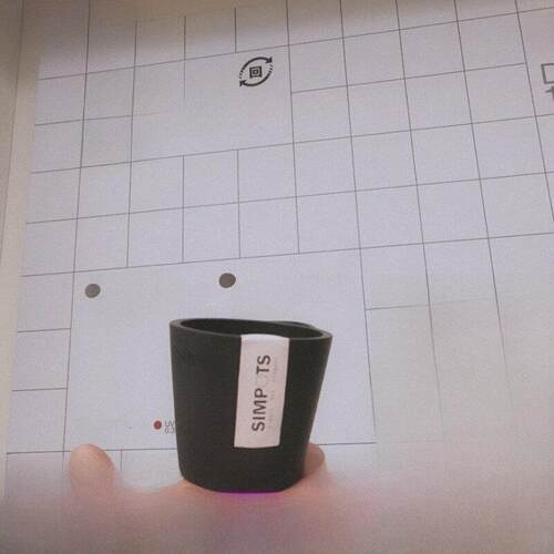 迷你拇指花盆黑色塑料花盆8*10耐用园艺花盆根植物多肉花盆现代简