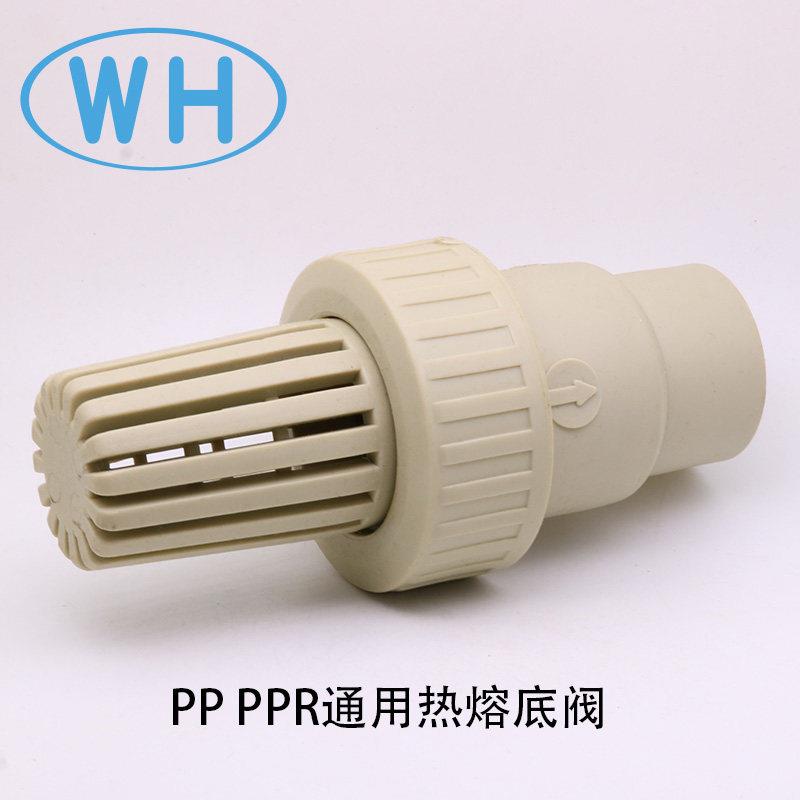 pp底阀ppr底阀止回阀逆止阀过滤花篮头耐腐蚀耐酸碱化工水管配件图片