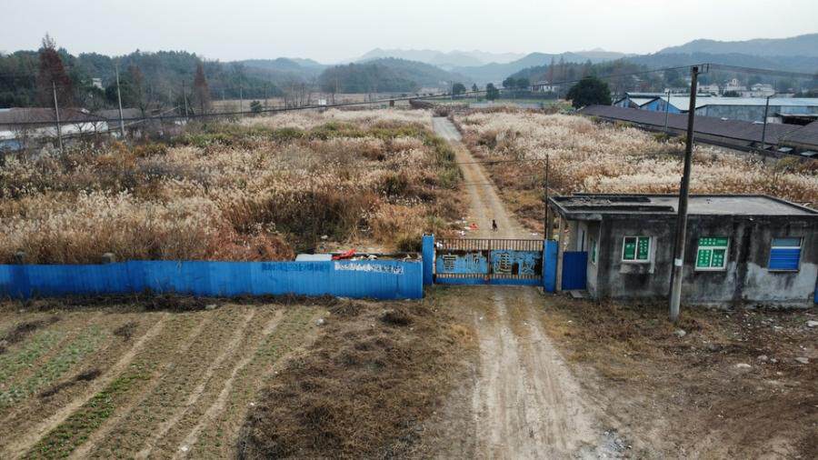 4月21日芜湖市无证房产（建筑面积5134.89㎡）、机械设备以及其他附属物网络拍卖公告