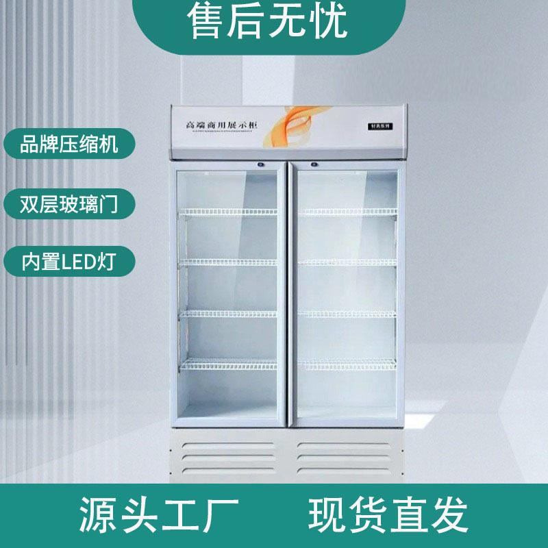 商用大容量饮料柜立式冰箱冰柜玻璃双门超市啤酒保鲜冷藏展示柜