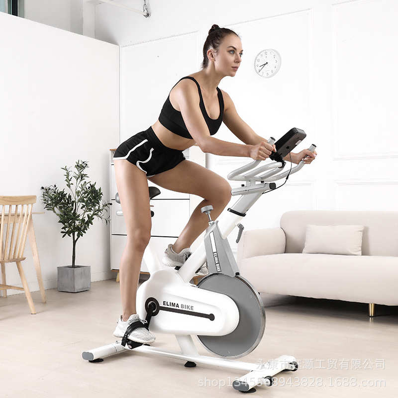 静音运动室内豪华健身器材脚踏车家用新款单车动感健身车超
