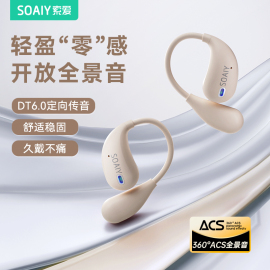 零感佩戴 全景音 蓝牙5.4 DT6.0定向传音