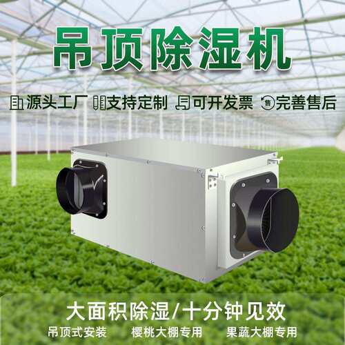 定制耐腐蚀吊顶除湿机大功率车库大棚隐藏安装管道抽湿工业除湿机