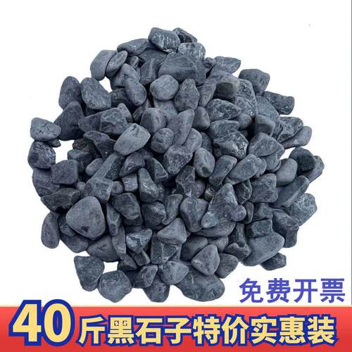 黑色砾石铺路枯山水园林造景黑石子小颗粒景观庭院花园铺面石