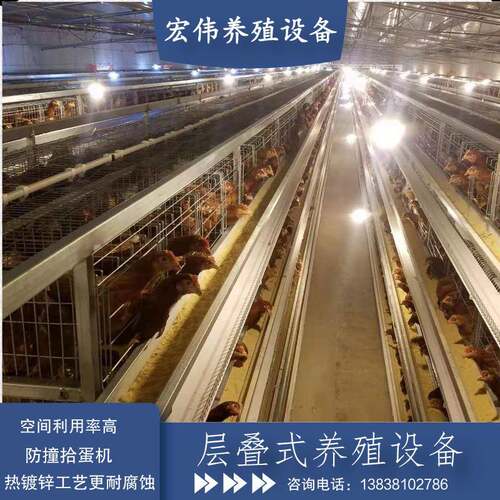 三层热镀锌养殖笼大型养鸡户选择自动化养殖设备立体养鸡笼
