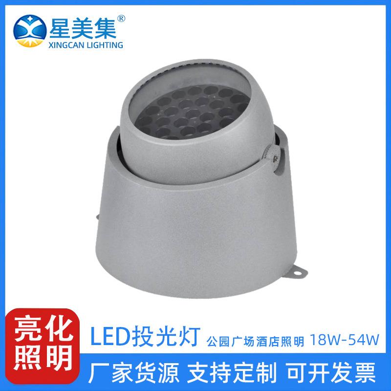 6W 18W 36W 48W 54W 户外灌木丛照明花园草地照树投光灯LED地埋灯