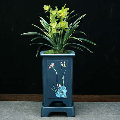 宜兴精品紫砂花盆小号桌面老庄盆景四方长方形君子兰文竹兰花包邮