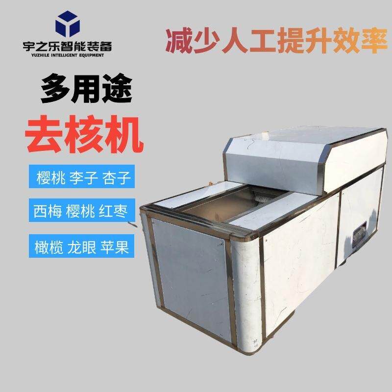 都用途去核切片机西梅干去核设备滇橄榄分半机核桃去皮机
