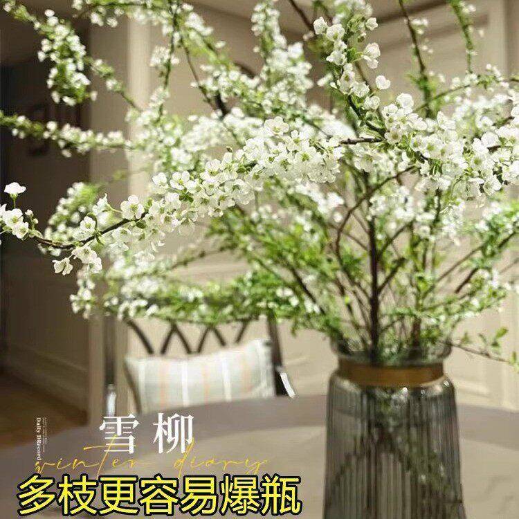 重瓣雪柳干枝支鲜枝水养插花水培植物鲜花卉室内盆栽绿植雪柳