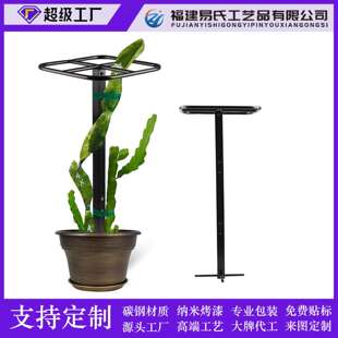 火龙果攀爬架可调节植物金属棚架适用于垂直园艺和攀缘