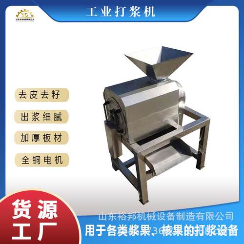 厂家直销工业果蔬去核机 油柑荔枝酸枣大型商业不锈钢设备