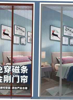 Magnetic Mesh curtain Net Screen Anti Mosquito Bug Fly door