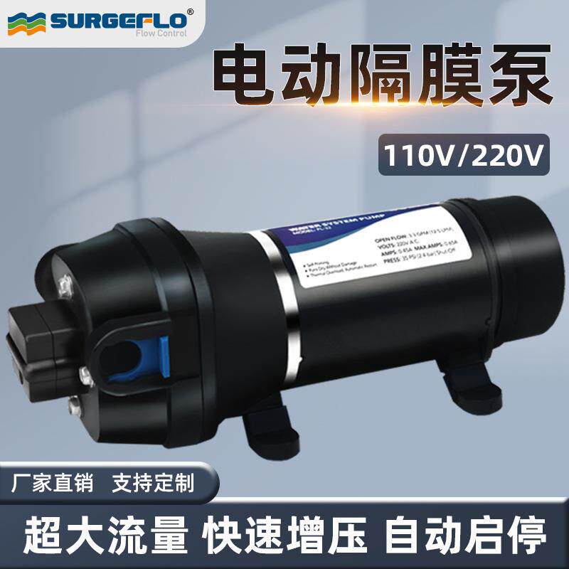 源头工厂FL-41/4大流量抽水增压泵110v220v交流电动灌装机隔膜泵