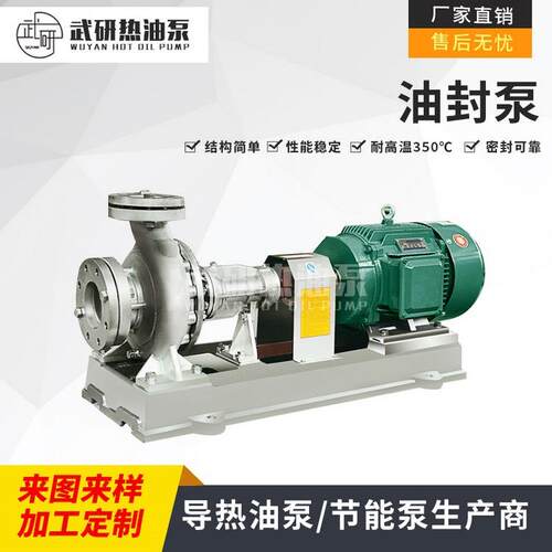 风冷式离心导热油泵WRY100-65-220耐高温新老款常州武进油泵