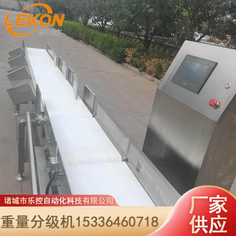 特价处理皮带式食品重量分选机白条鸡鸭按重量等级分选