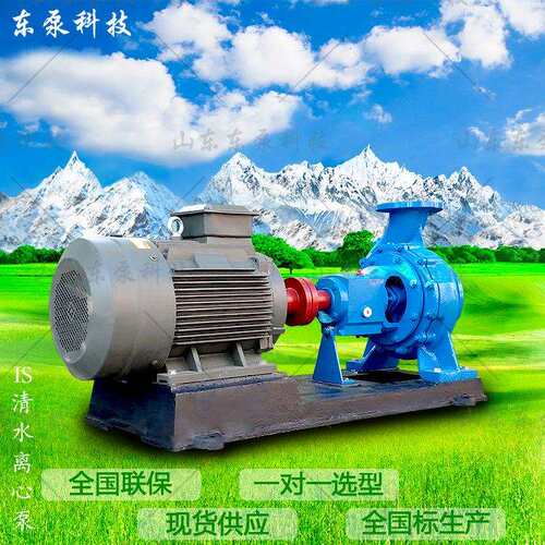 山东东泵 IS卧式重型工业泵 单级单吸卧式离心泵工厂现货
