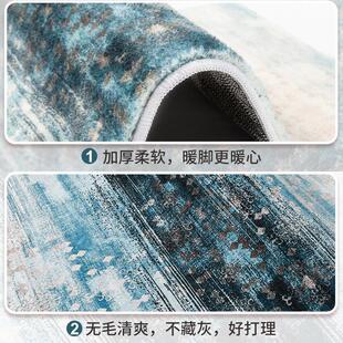 地毯客厅2025新款 沙发茶几毯卧室房间天津免洗可擦家用易打理地垫
