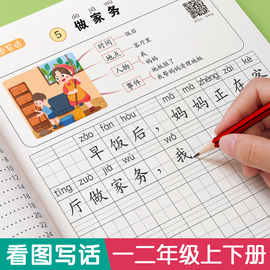 看图写话一年级二年级上册下册练字帖小学生字帖每日一练专项训练专用语文同步幼小衔接人教版，练字绘本范文大全一升二ppt押题练习