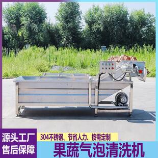 商用大型蔬菜苹果海参橘子芹菜气泡清洗机全自动净菜加工生产设备