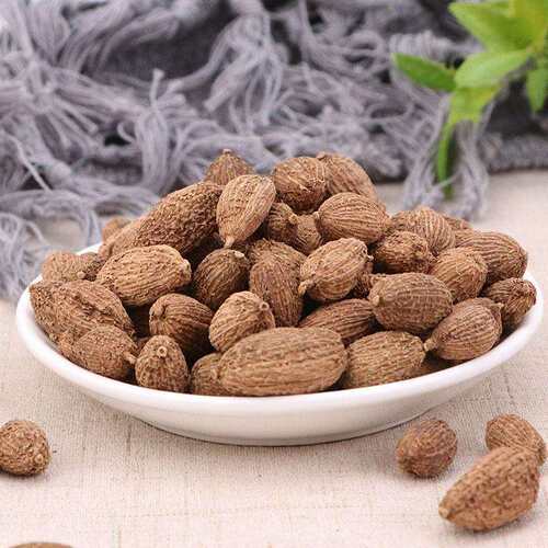 砂仁现货 散装云南砂仁 现货卤菜调料 火锅 料 砂仁 量大从优