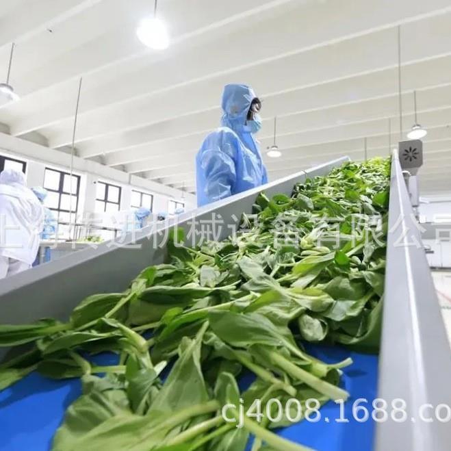 供应皮带输送机非标尺寸皮带输送机免费设计图纸方案茶叶输送