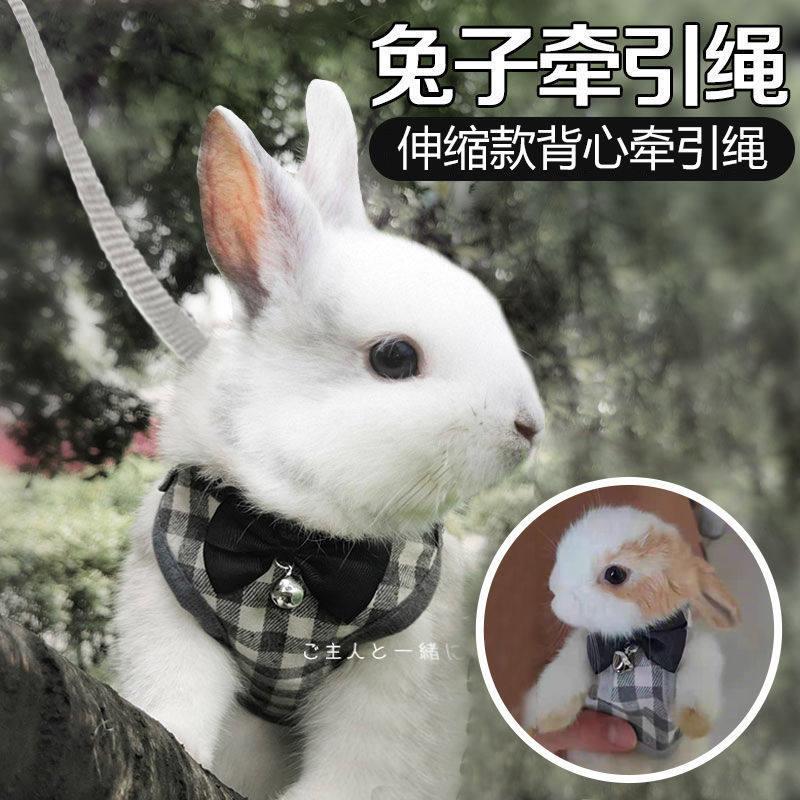 兔子牵引绳溜夏天防挣脱宠物外出专用侏儒防咬可调节栓遛绳子
