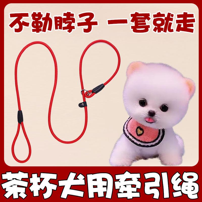 茶杯犬专用溜狗狗牵引绳套脖子p炼p绳遛狗绳子防爆冲小体小型幼犬