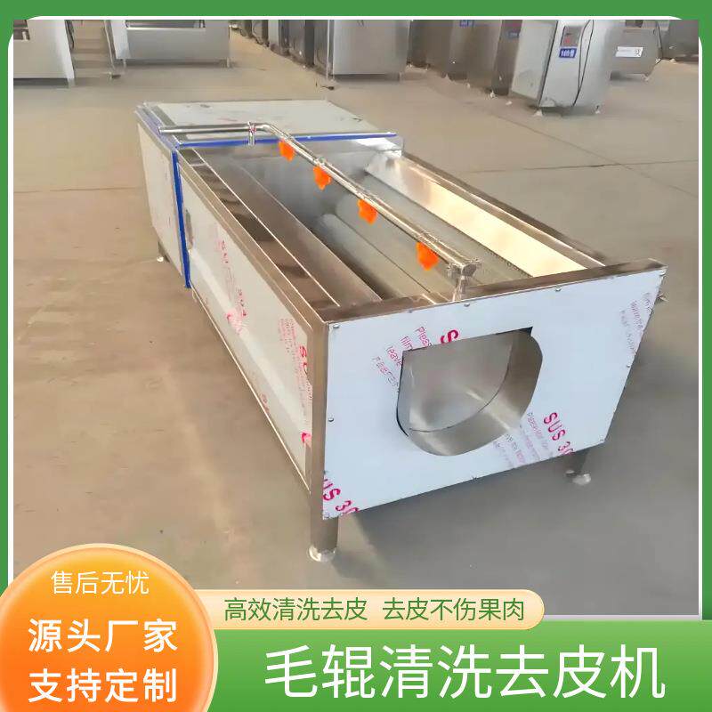 红薯清洗机全自动毛辊地瓜清洗机生姜板栗花生毛刷清洗去皮一体机