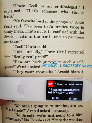 有道翻译笔怎么样?用后一周实情告诉大家感受