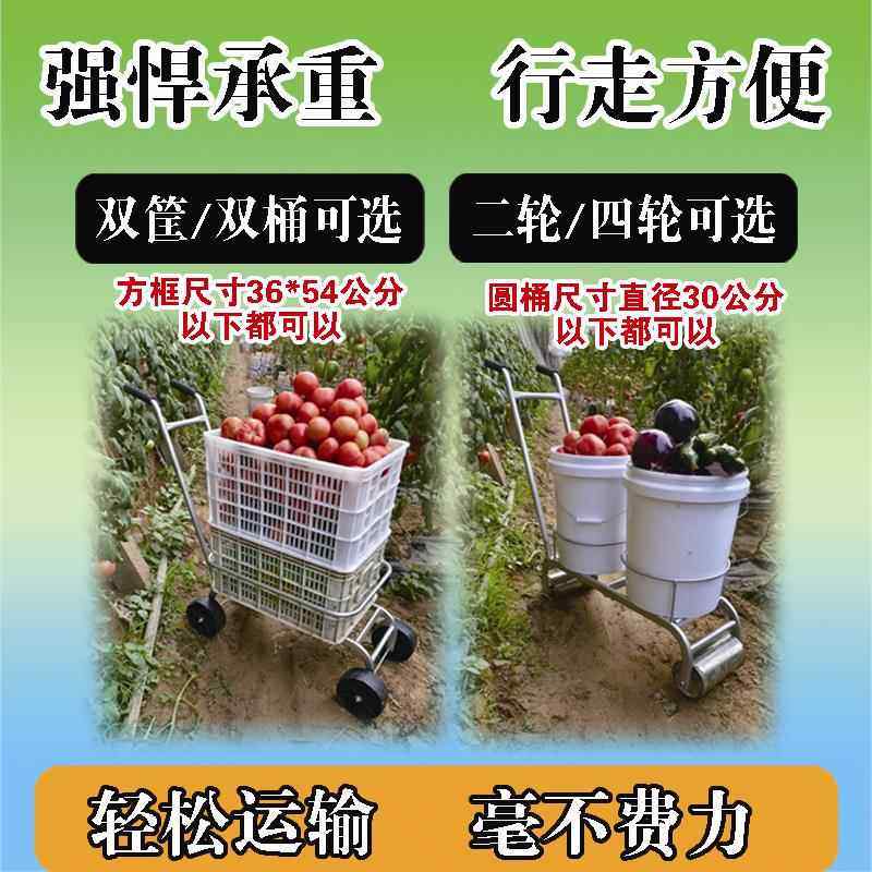 大棚采摘车蔬菜果园瓜果茶叶运输车移动采摘车手推车大棚运输车,农机/农具/农膜,其它农用工具,淘宝优惠券,粉丝福利购,淘宝优惠卷