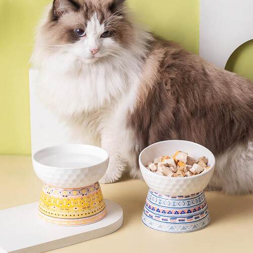 陶瓷猫碗高脚保护颈椎猫粮碗猫咪狗猫盆饮水碗宠物零食碗跨境