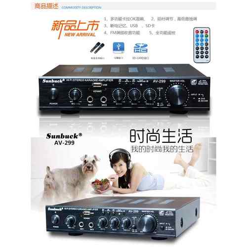 AV-299BT电脑桌面HIFI小型功放带遥控FM收音USB.SD读卡