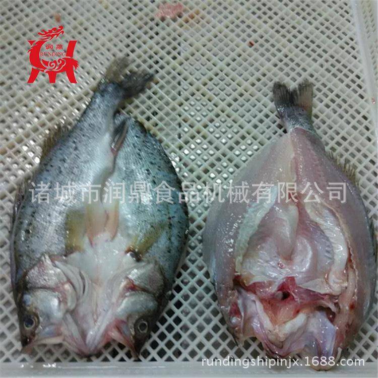 鱼类盐水注射机生产厂家气压式鲤鱼注射盐水机小型带骨腌制设备