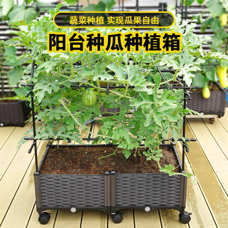 西瓜种植箱种菜盆花盆爬藤架黄瓜盆花园藤架家庭楼顶阳台菜园蔬菜