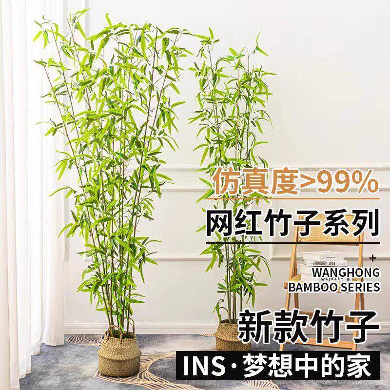 真竹子室内室外装彷饰断绿植215禅意隔景观中古典屏风式装饰盆栽