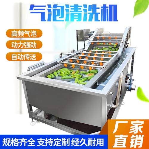 全自动气泡清洗机 商用蔬菜水果水产清洗设备高频气泡自动传送机