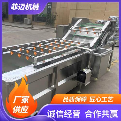喷淋式气泡清洗机多功能果蔬清洗机连续式大型蔬菜清洗机